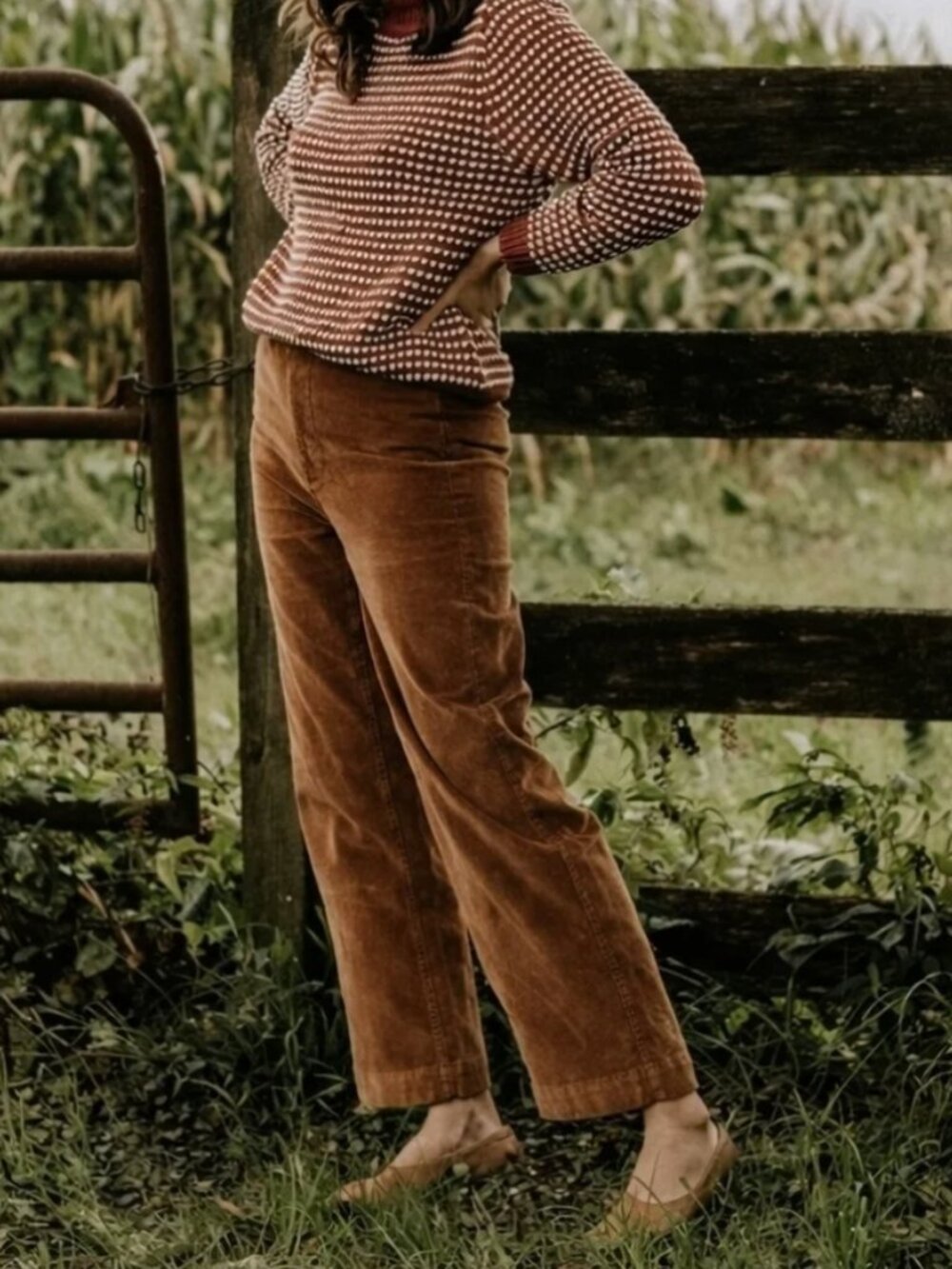 Everlane Brown Baby Cord Relaxed Straight Pant in Burnt Orange Sz 4